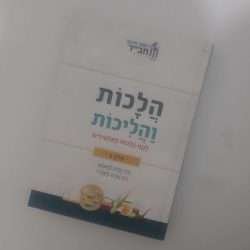 הלכות והליכות ב'