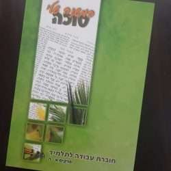 המשנה שלי סוכה