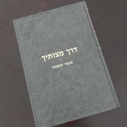 דרך מצותיך